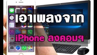 โหลดเพลงใว้ฟังบนมือถือง่ายๆด้วยApp 4shared