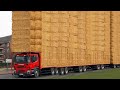 Unbelievable Cow Transport &amp; Milking in VOLVO - Must See!
