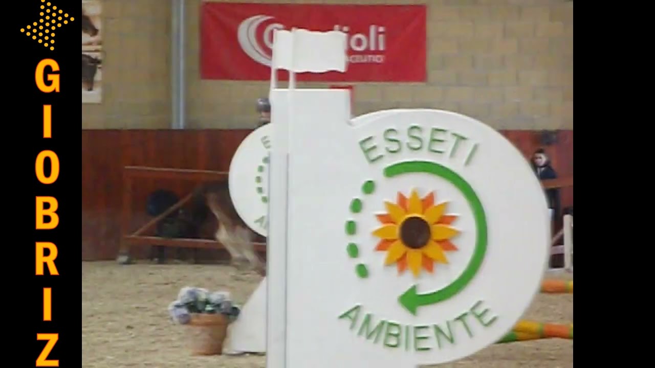 Salto Ostacoli Nazionale B Tortona 11 2 2023