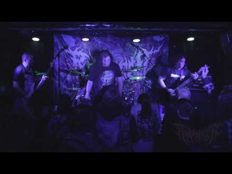 Hammer Smashed Face (Cannibal Corpse cover)