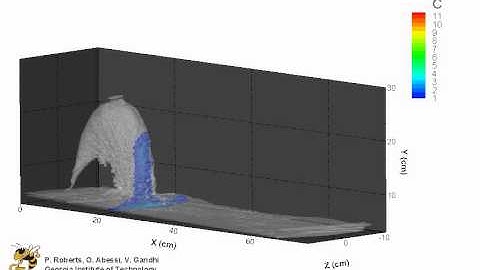 3DLIF results for single port dense discharge by Philip Roberts and Ozeair Abessi