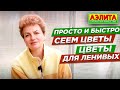 Быстро сеем и получаем обильное цветение. Сорта цветов для ленивых.