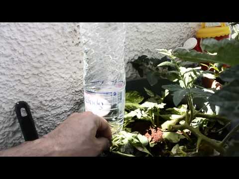 Βίντεο: Άρδευση στάγδην για φυτά εσωτερικού χώρου: πώς να φτιάξετε μόνοι σας σύστημα άρδευσης στάγδην για λουλούδια στο σπίτι από πλαστικά μπουκάλια