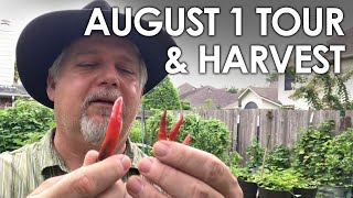 August 1st Summer Garden Tour || Black Gumbo