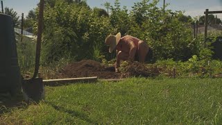 Louisville mayor announces urban agriculture program