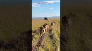 45 Rongai Rockers Patrolling Togheter