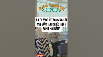 Câu Đố Vui Nhộn 3: Thử Thách Tư Duy Logic Của Bạn p83 | Cao Thủ IQ #funny #dovui #giaitri #haihuoc