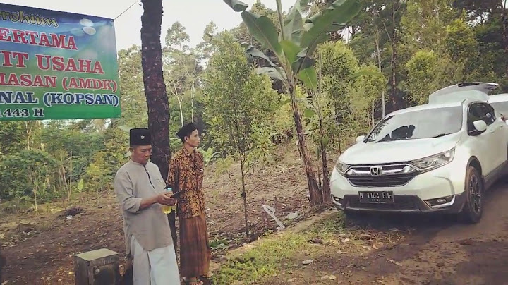 Tidak ada daun yang jatuh tanpa izin Allah