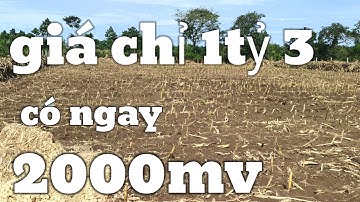 Gấp gấp nợ nần quá buộc phải bán giá chỉ 1tỷ 3 có ngay 2000mv Bà Rịa Vũng Tàu hotline :0777444662