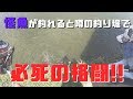 怪魚!?が釣れると噂の釣り堀で必死の格闘!!第6話