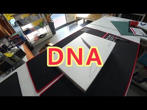 엘지에게 DNA란?     //    LG전자 올 뉴 그램 13ZD980-GX30K 리뷰