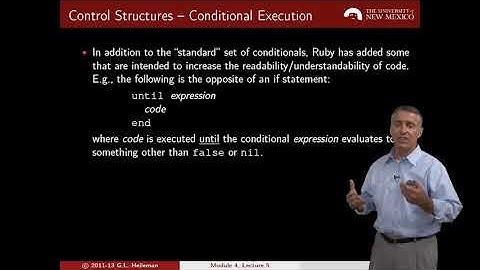 4   6   Module 4 Lecture 5  Expressions and Control Structures 6 51