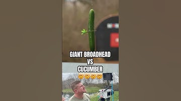 Worlds biggest Broadhead vs cucumber | BEAST Broadheads| #turkey #broadhead #archery