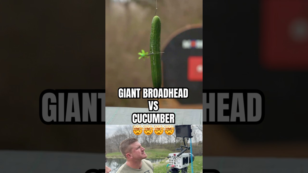 Worlds biggest Broadhead vs cucumber | BEAST Broadheads| 