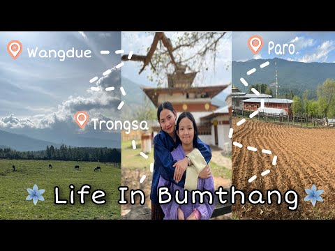 Life In Bumthang, Bhutan 🦋 | | Journey from Punakha to Bumthang