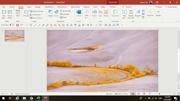 Change brightness and contrast of a picture in PowerPoint