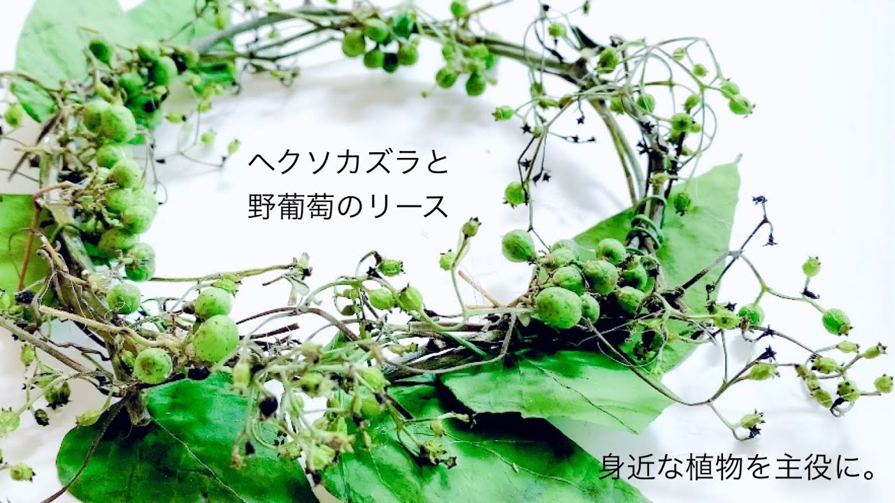 身近な植物を主役に。ヘクソカズラとのぶどうのリース。【ドライ 