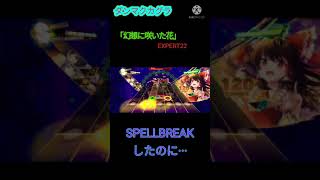 SPELLBREAKしたのに···[ダンマクカグラ]