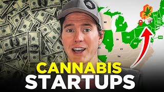 Building a Cannabis Startup: Overcoming Legal and Financial Hurdles