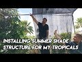 Ep163 - Installing Summer Shade Structure for My Tropicals