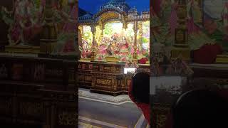 arya iscontemple real short short flowers