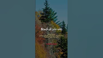 ويشف صدور قوم مؤمنين❤️ #سورة_التوبة #ياسر_الدوسري #صوت_جميل #قرآن_كريم #تلاوة_خاشعة #دعاء #دعم