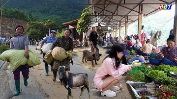 Phiên Chợ CỐC LY – Mua Bán Nhộn Nhịp! Dê Núi, Lợn Cắp Nách, Trâu Rừng & Ẩm Thực Gây Sốt Vùng Cao