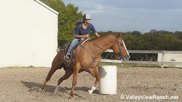 MF Paydays Ace***For info, price, etc., go to our website***ValleyViewRanch.net