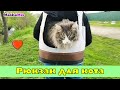 Рюкзак-переноска для кота Кузьмы