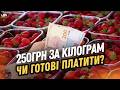 СЕЗОН ПОЛУНИЦІ у Львові: скільки коштують ягоди на КРАКІВСЬКОМУ РИНКУ