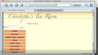 Webdna Programming - Section 4 - Part 10 Of 15
