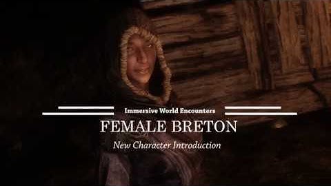 Voice Acting Showcase - Kerstyn Unger as Breton Wizard
