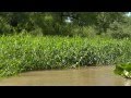 Pesca en las islas de Paraná