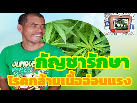 ใช้น้ำมันกัญชารักษา|โรคลมชัก|กัญชาchannel|EP24