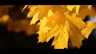 Şubat Kimseye Çekmedi Bülent Parlak Şiir