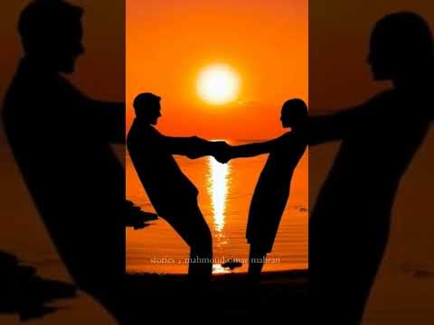 اغنية كلك عاجبنى