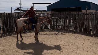 Introducing a colt to swinging and dragging a rope