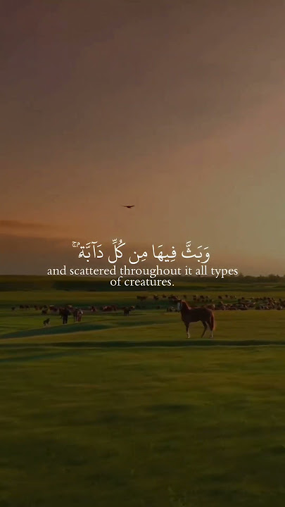 Download lagu Surah Luqman verse 10-11. Sheikh Yasser Al Dosari.#recitation #islamicvideo #beautiful #islam