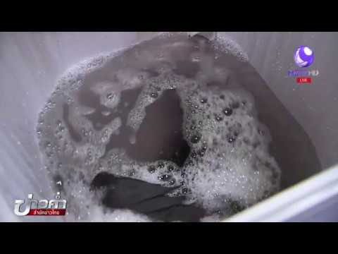 วีดีโอ: วิธีทำความสะอาดถังน้ำเต่า