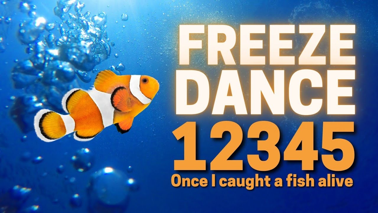 🐡 Musical Statues music that stops 🐟Freeze Dance Music with stops 🐠