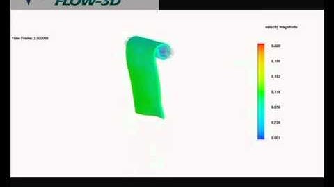 Elastic Roll CFD Simulation