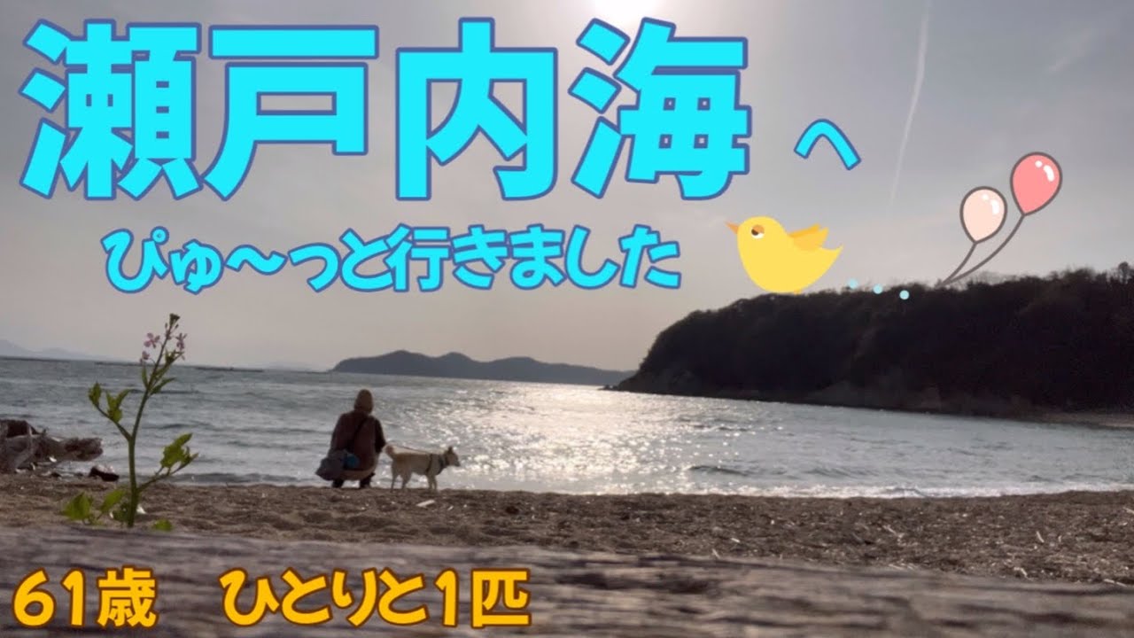 【61歳】瀬戸内海を見たくて神奈川からワンコと一緒に車中泊の旅に出ました