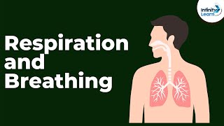 Différence entre la respiration et la respiration