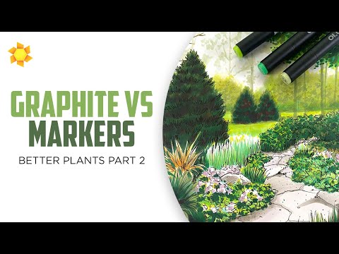 Drawing Plants part 2: graphite vs marker