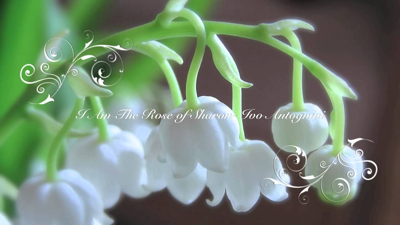 North Dakota Concert Venues