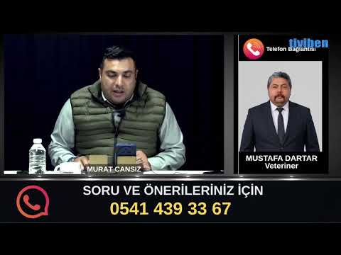ER MEYDANI