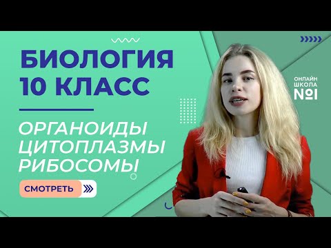 Урок 9. Органоиды Цитоплазмы, Рибосомы, ЭПС, Комплекс Гольджи,  Лизосомы. Биология 10 класс