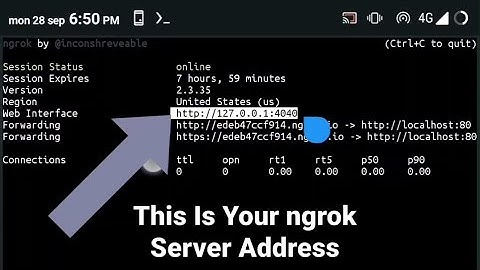 How to Start A ngrok Server | Very Easy Tutorial #shorts