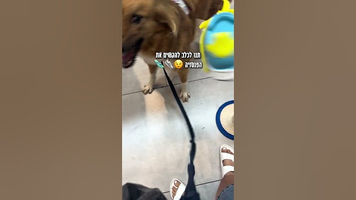 סוף סוף מצאנו את הפתרון המושלם לסכסוך הנעליים בבית!🐾✨