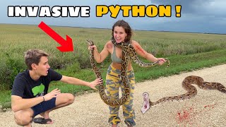 CATCHING WILD PYTHONS TAKING OVER FLORIDA !